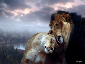 Passionate Lions